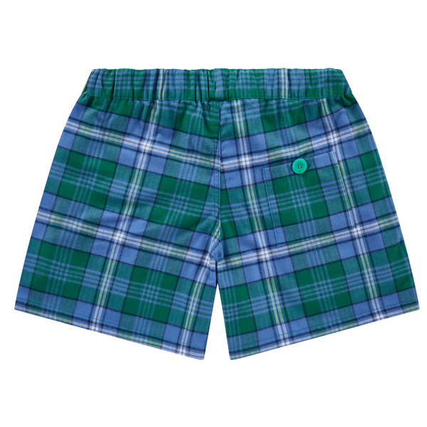 Green Sea Turtle short shorts