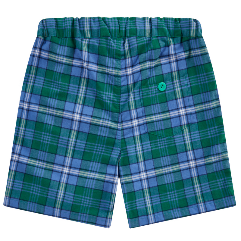 Men's Green Sea Turtle Shorts